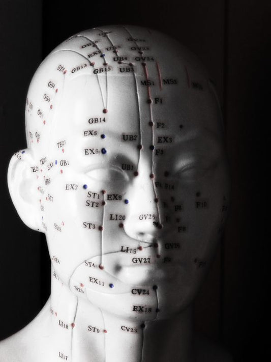 Acupuncture Head Model